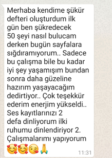whatsApp-mesaj-17